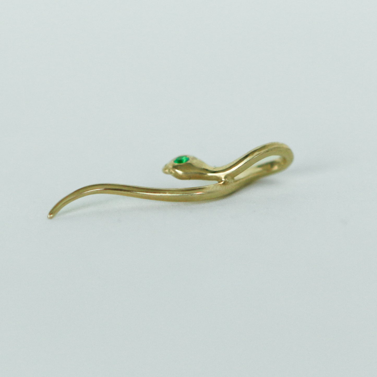 The Medusa Charm