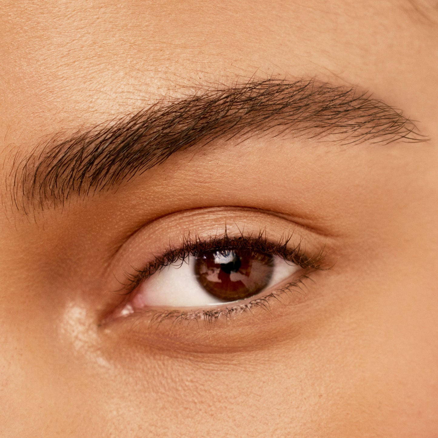 Bonne Brow Eyebrow Pencil - Bark