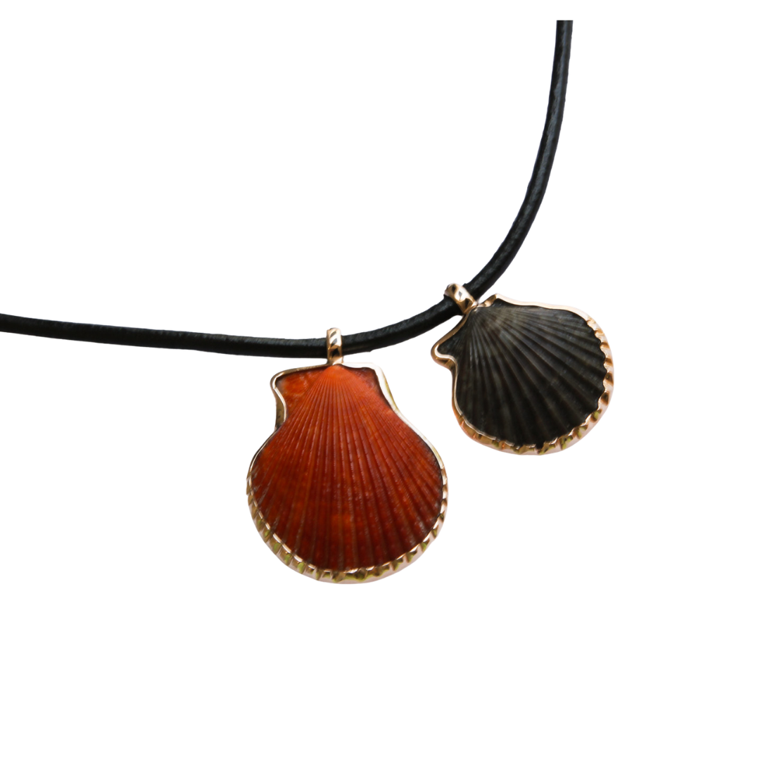 Double Shell Pendant Necklace