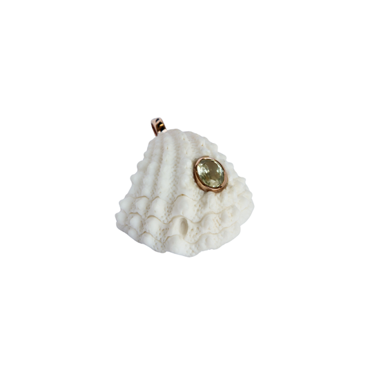 Classic Spiny Jewel Shell Pendant