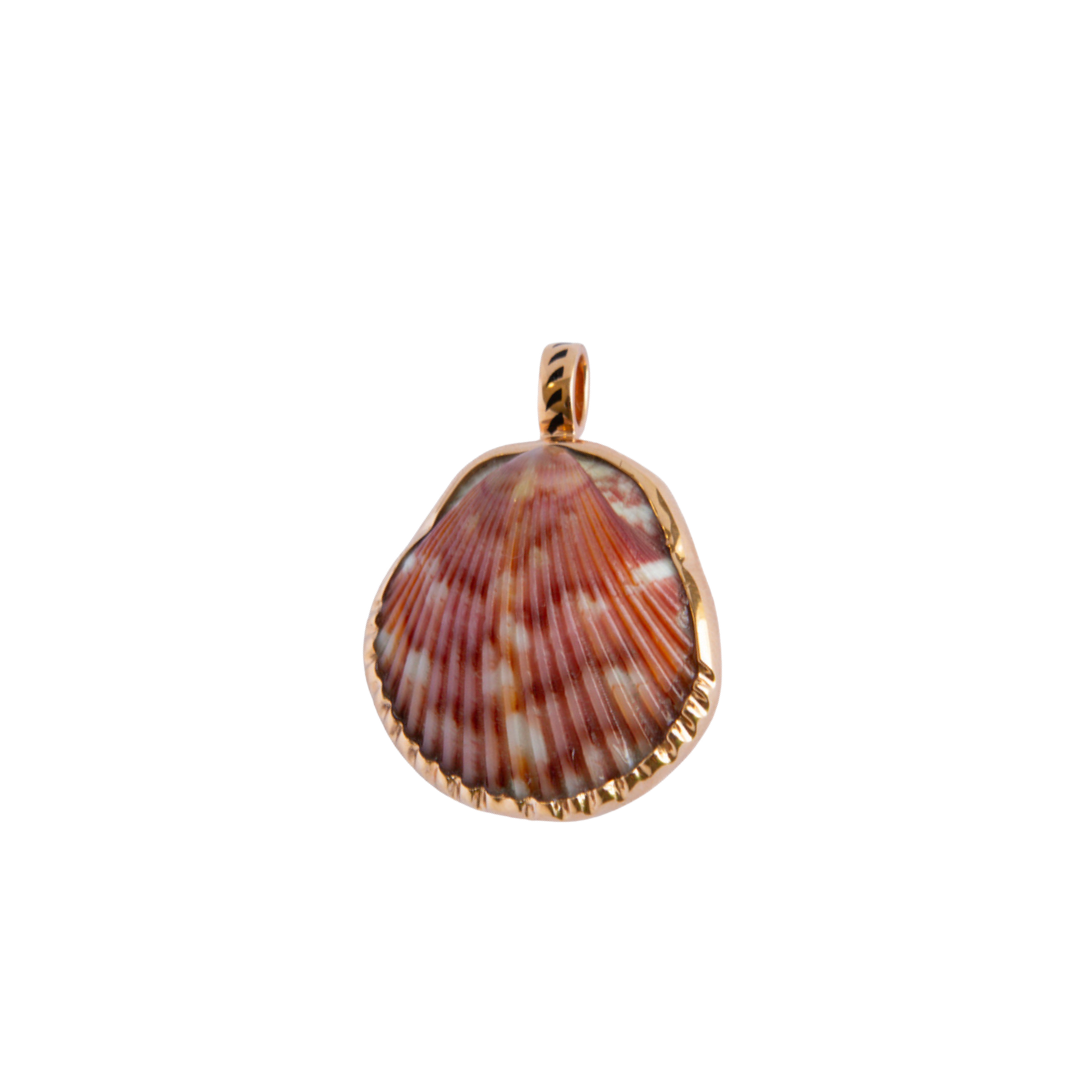 Medium Natural Clam Pendant