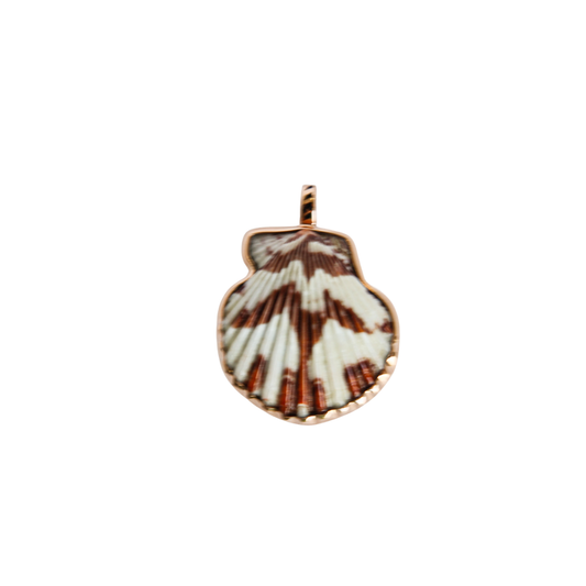 Grande Natural Clam Pendant