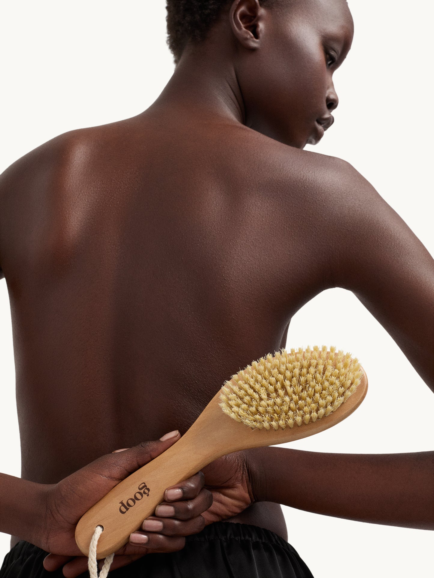 goop Ultimate Dry Brush